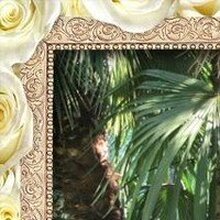 СЕРГЕЙ, г. Сочи