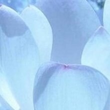 Анна Викторовна, г. Приморско-Ахтарск