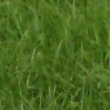 Наталья, г. Краснодар