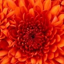 Юлия, г. Красноярск