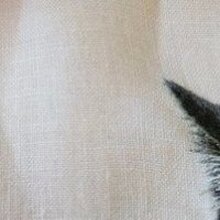 Дарья, г. Екатеринбург