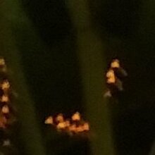 Виктория, г. Владивосток