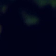 Полина, г. Красноярск