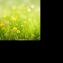 Елена Сергеевна, г. Москва