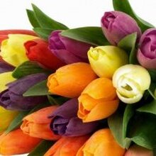 Евгения, г. Семенов