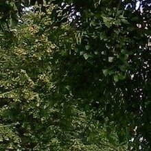 Дмитрий, г. Санкт-Петербург