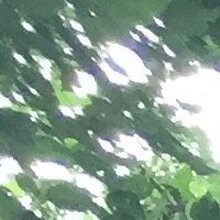 Руслан, г. Владивосток