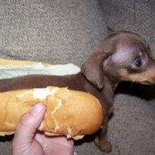 Елена Анатольевна, г. Челябинск