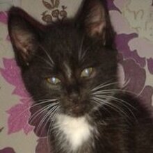 Яна, г. Тверь