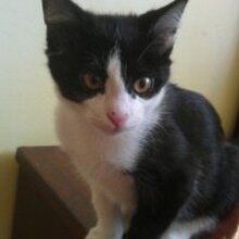 So web, г. Москва