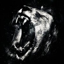 Андрей, г. Воронеж