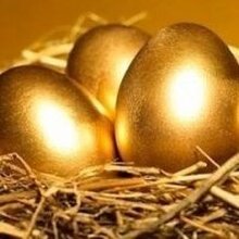 ДРУГ, г. Санкт-Петербург