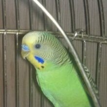 Павел, г. Луганск