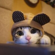 Наталья, г. Красный Сулин