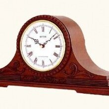 Роман, г. Никополь