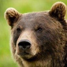 Михаил, г. Москва