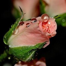 Мария, г. Краснодар