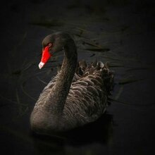 Татьяна, г. Москва