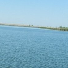 Алексей, г. Ростов-на-Дону