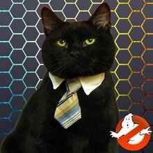 Леонид, г. Санкт-Петербург