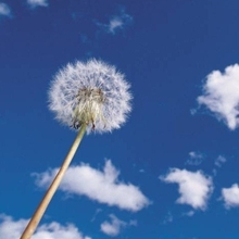 Артур Александрович, г. Липецк