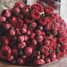 Любовь, г. Ростов-на-Дону