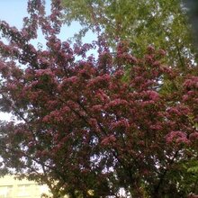 Гость_2171058, г. Чернь