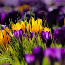 Попова Ольга Юрьевна, г. Козловка