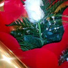 Анастасия, г. Абакан