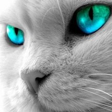 МАРИНА, г. Агаповка