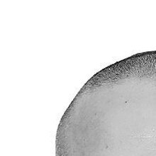 Антон, г. Воронеж