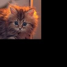 Ольга Владимировна, г. Лисаковск