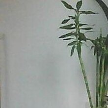 Вячеслав, г. Санкт-Петербург