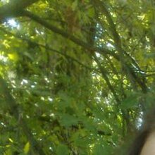 Нина, г. Ставрополь