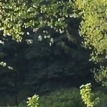 Регина, г. Новокузнецк