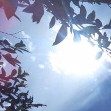 Инга, г. Котлас