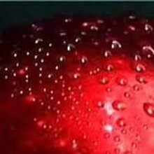 Жанна Фаст, г. Пермь