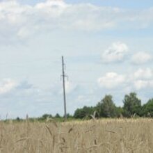 Людмила, г. Новозыбков