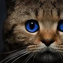 Инна, г. Москва