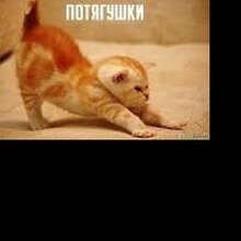 Гость_2634427, г. Акша