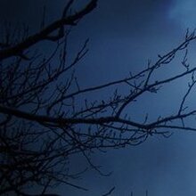 Анна, г. Нижневартовск