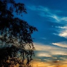 Наталья Петровна, г. Алейск