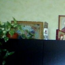 Швечиков Николай Михайлович, г. Белгород