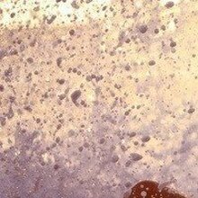 Кристина, г. Усолье-Сибирское