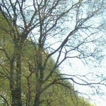 Андрей, г. Кирс