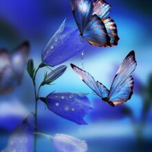 Marvel, г. Москва