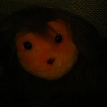 Мария, г. Москва