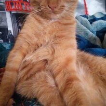 Вера, г. Волжский