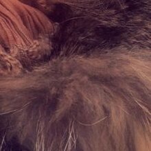 Анастасия Сергеевна, г. Екатеринбург