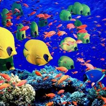 Любовь Викторовна, г. Астрахань